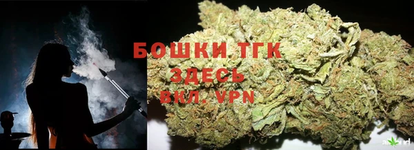 гашик Абинск