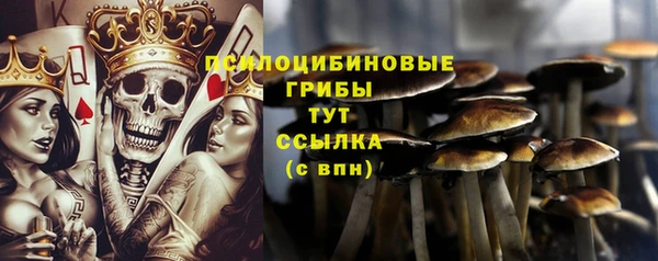 тгк Переславль-Залесский