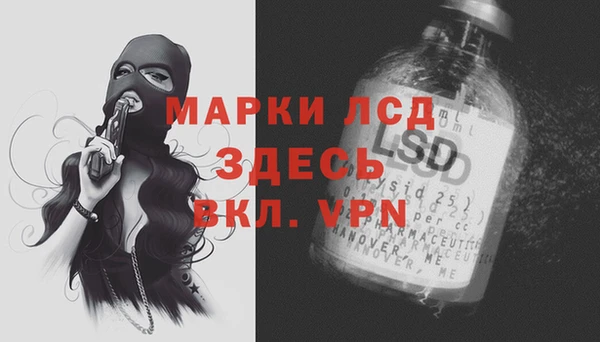 спайс Пересвет
