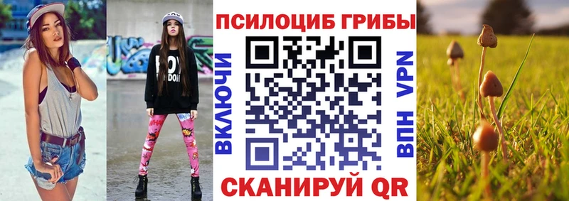 дарнет шоп  Моршанск  Псилоцибиновые грибы Magic Shrooms 