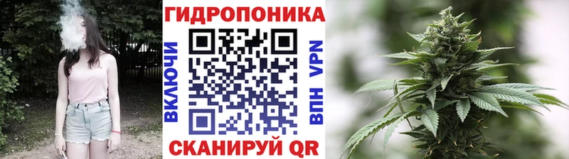 Каннабис гибрид  ОМГ ОМГ зеркало  Моршанск 